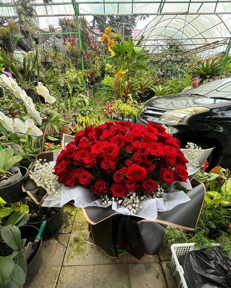 Buket mawar merah dengan baby breath
