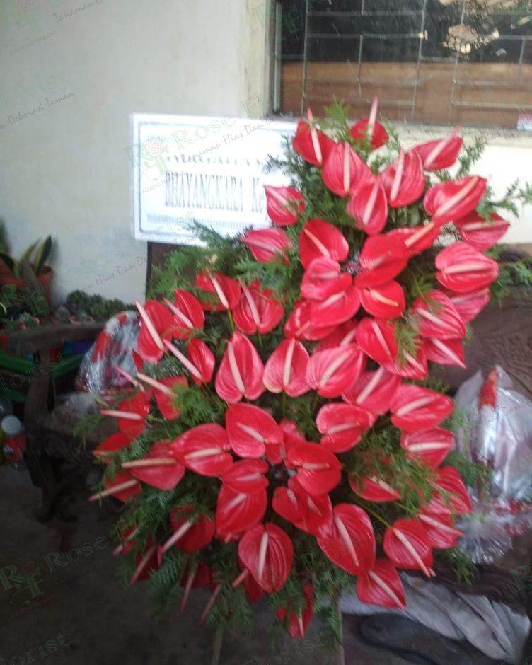 Rangkaian bunga anthurium merah