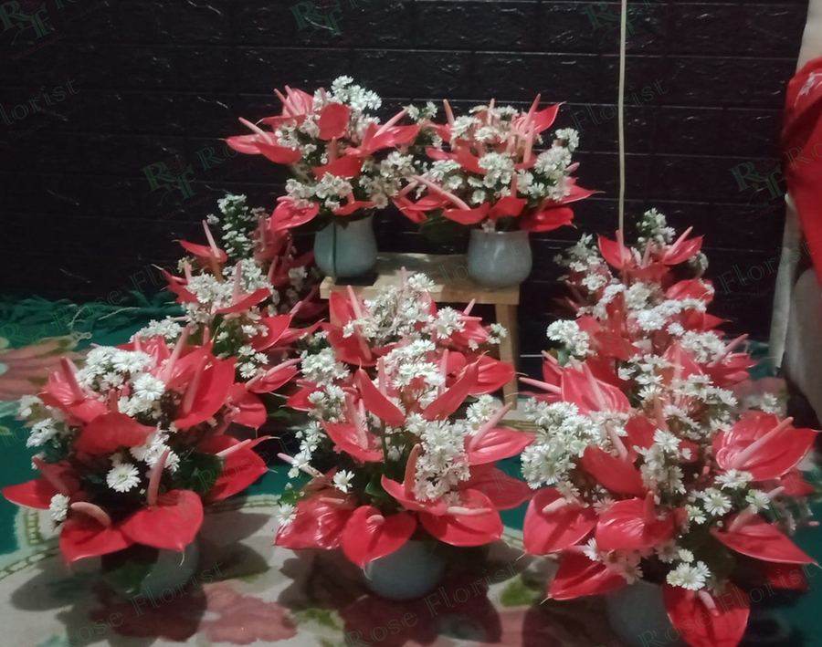 Deretan bunga meja anthurium merah