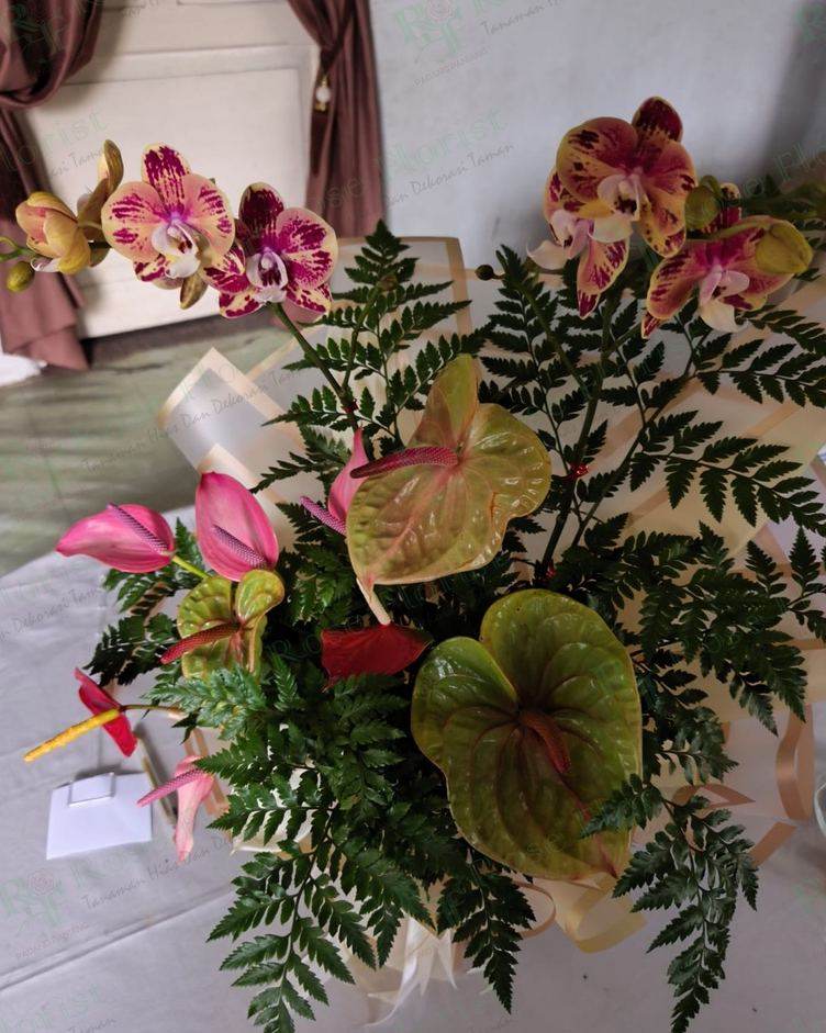 Rangkaian anthurium dan anggrek dengan pakis