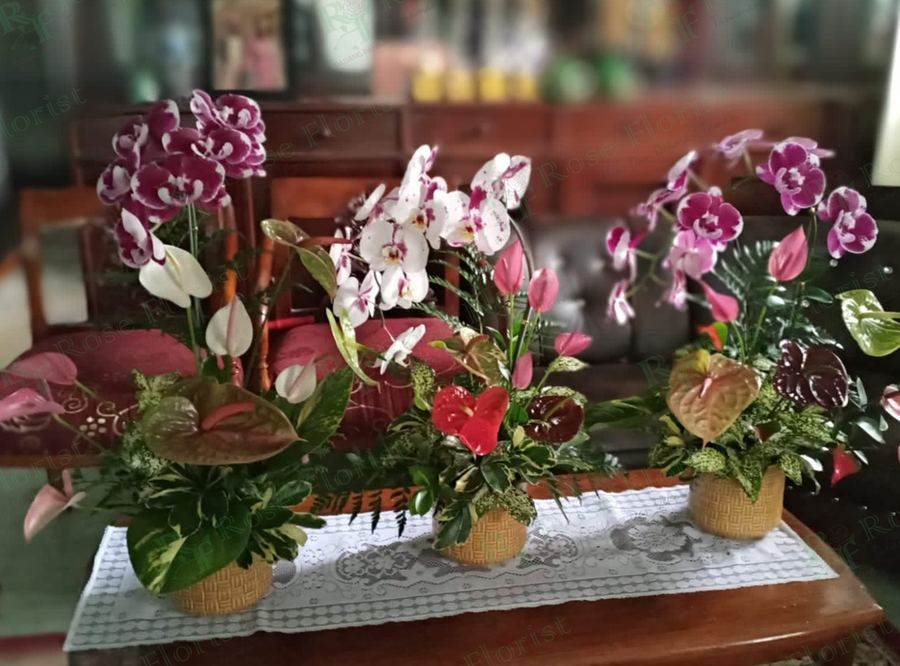 Bunga meja anggrek dan anthurium