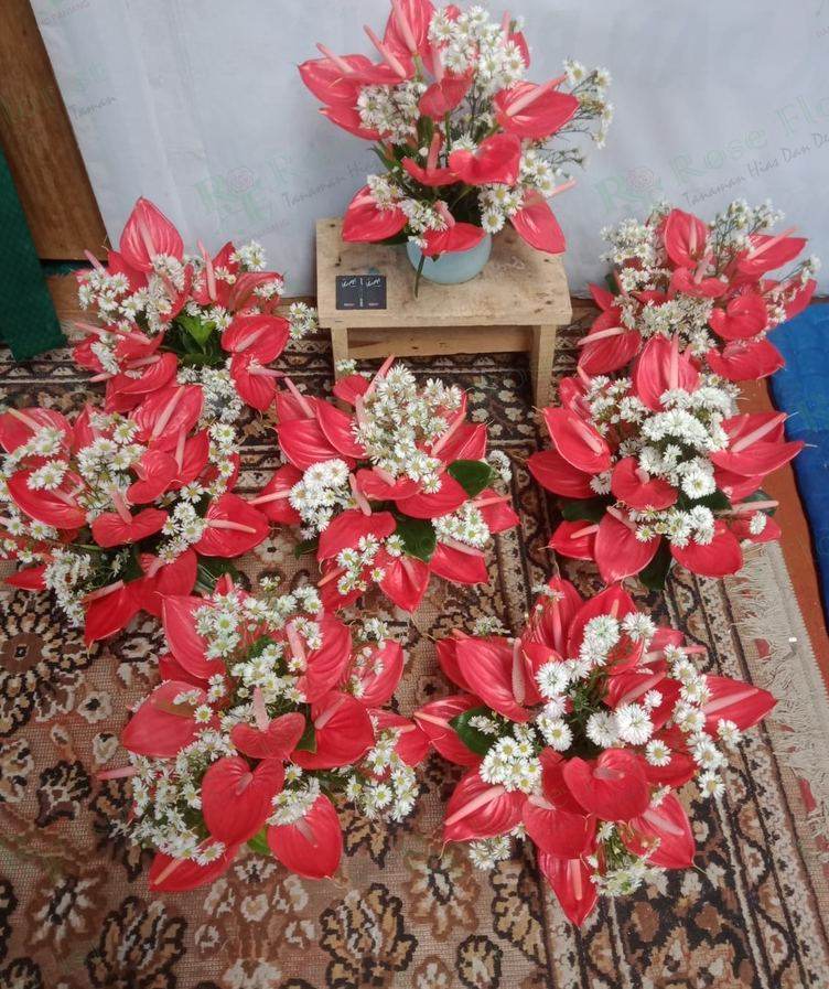 Rangkaian anthurium merah dalam jumlah banyak