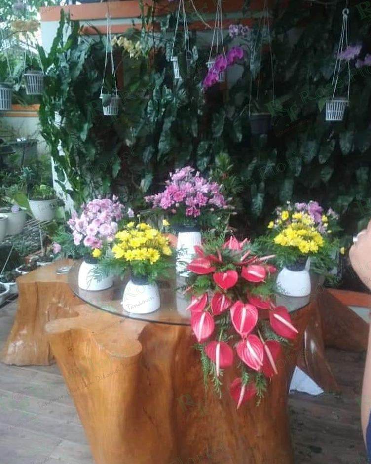 Bunga potong dan anggrek pot