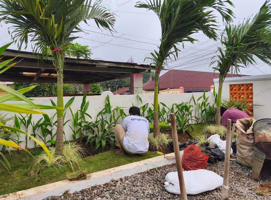 Proses penanaman taman palem