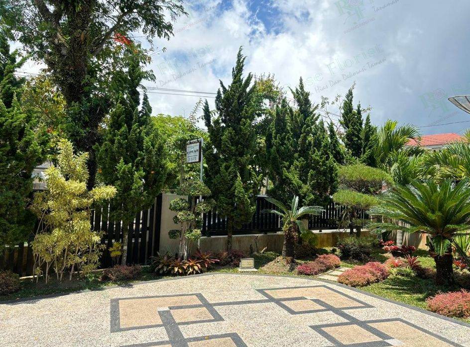 Taman cemara dan bonsai di halaman rumah