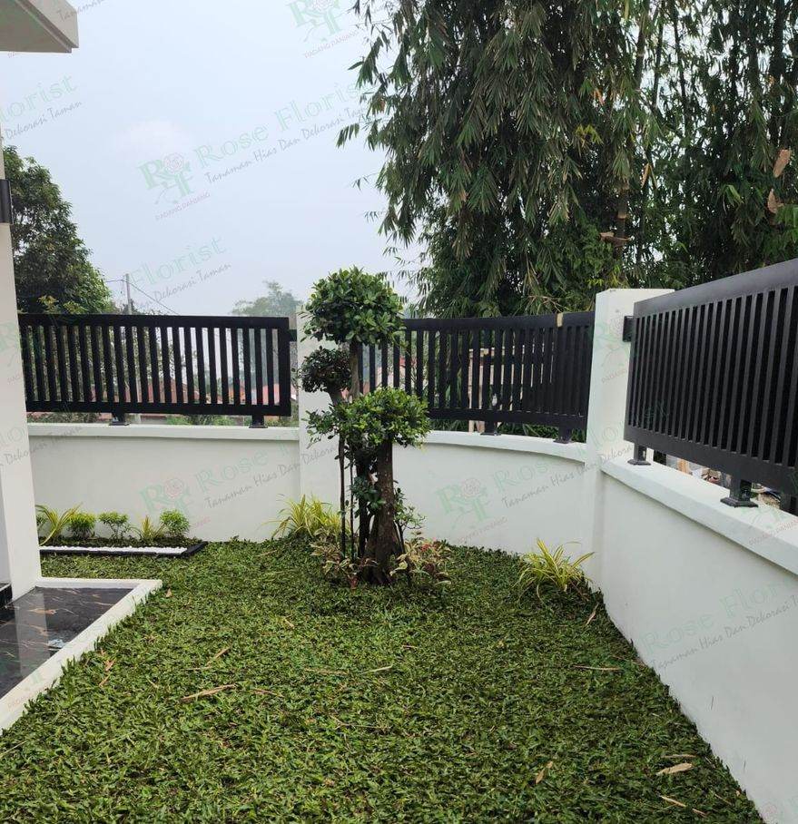 Taman rumput dan bonsai, Aie Angek