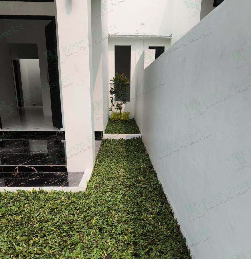 Taman lorong samping rumah, Aie Angek