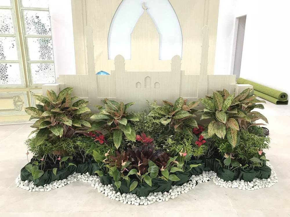 Detail taman aglonema dan anthurium
